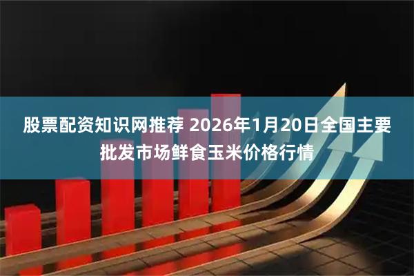 股票配资知识网推荐 2026年1月20日全国主要批发市场鲜食玉米价格行情