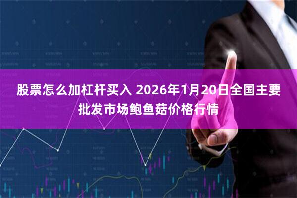 股票怎么加杠杆买入 2026年1月20日全国主要批发市场鲍鱼菇价格行情