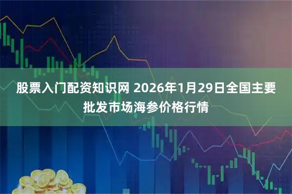 股票入门配资知识网 2026年1月29日全国主要批发市场海参价格行情