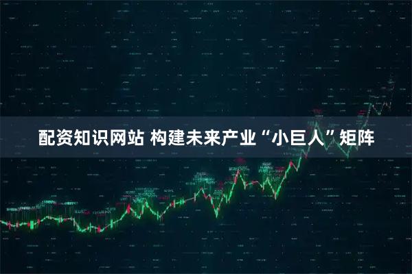 配资知识网站 构建未来产业“小巨人”矩阵