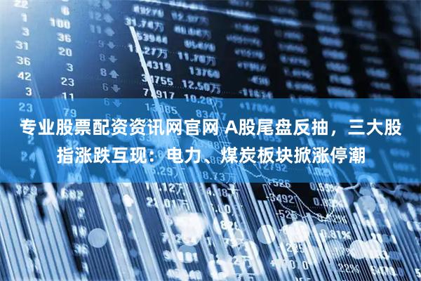 专业股票配资资讯网官网 A股尾盘反抽,三大股指涨跌互现:电力、煤炭板块掀涨停潮